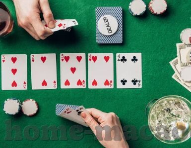 森林舞会内购版-森林舞会内购版，一场自然与科技的梦幻融合